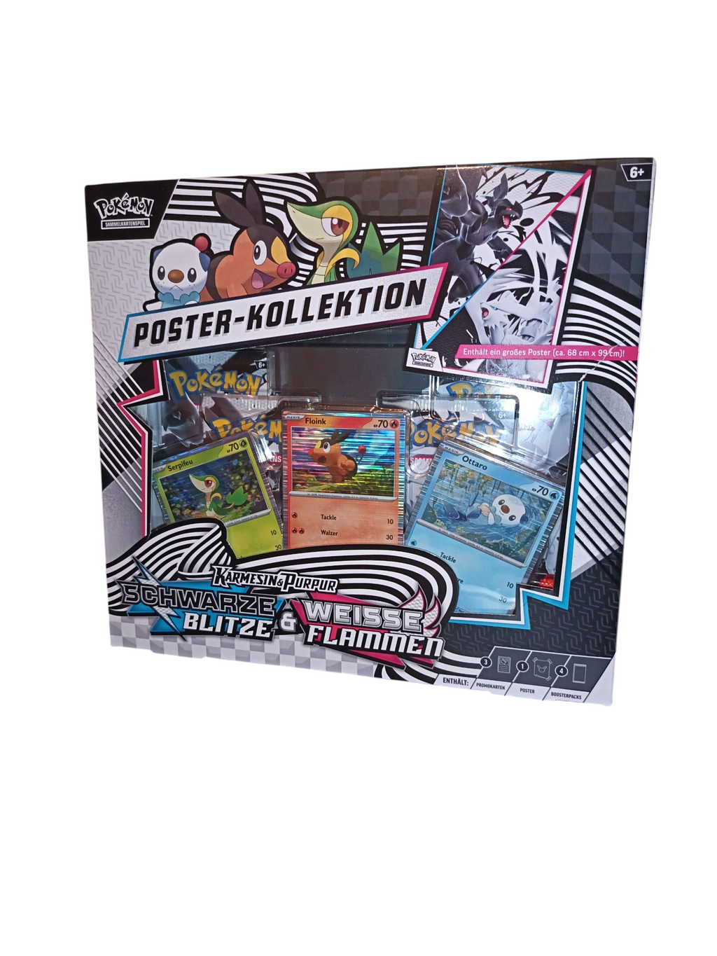 Pokemon "Schwarze Blitze&WeisseFlammen" Poster   Collection