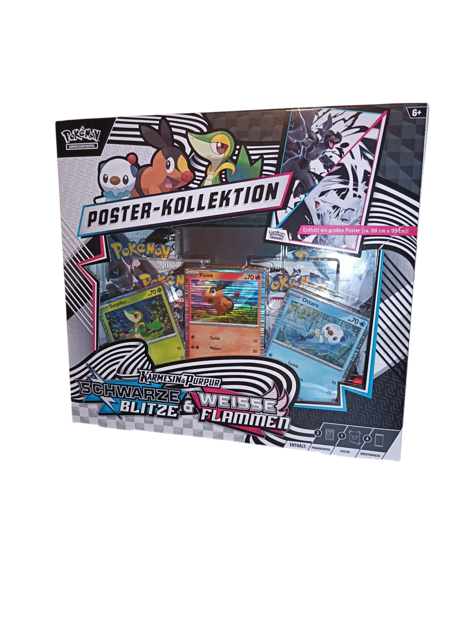 Pokemon "Schwarze Blitze&WeisseFlammen" Poster   Collection